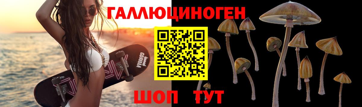 где продают   Псилоцибиновые грибы мицелий  Каспийск  Вход с VPN  Галлюциногенные грибы Psilocybe 
